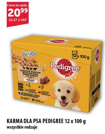Eurocash KARMA DLA PSA PEDIGREE 12 x 100 g oferta