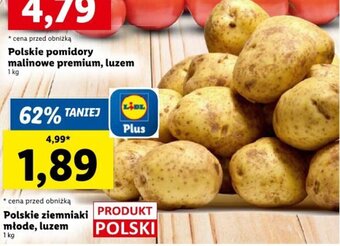 Lidl Polskie ziemniaki młode, luzem 1 kg oferta