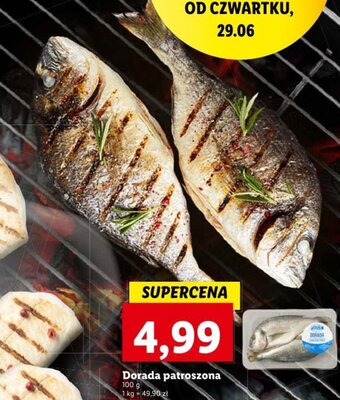Lidl Dorada patroszona 100g oferta