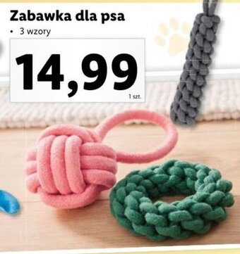 Lidl Zabawka dla psa oferta