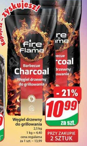 Dino Węgiel drzewny fire & flame oferta