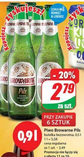 Dino Piwo browarne pils oferta