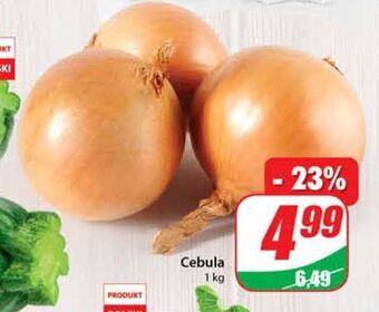 Dino Cebula oferta