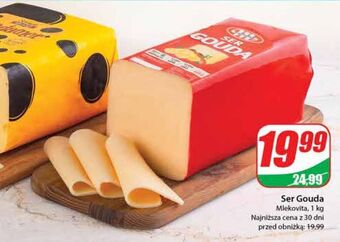 Dino Ser gouda mlekovita oferta