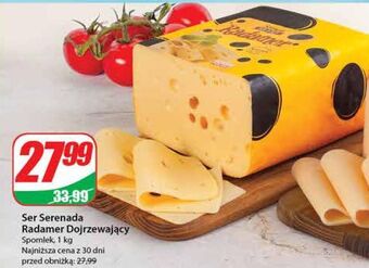 Dino Ser radamer serenada oferta