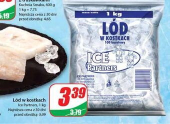 Dino Lód w kostkach ice partners oferta