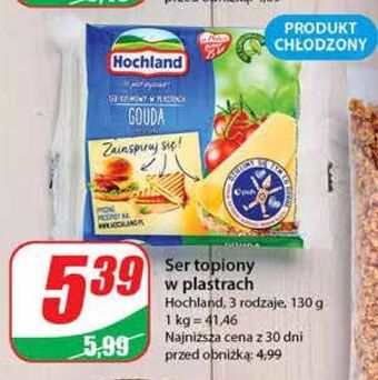 Dino Ser topiony gouda hochland oferta