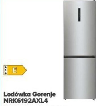 Max Elektro Lodówka gorenje oferta