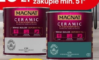 Castorama Farba magnat oferta