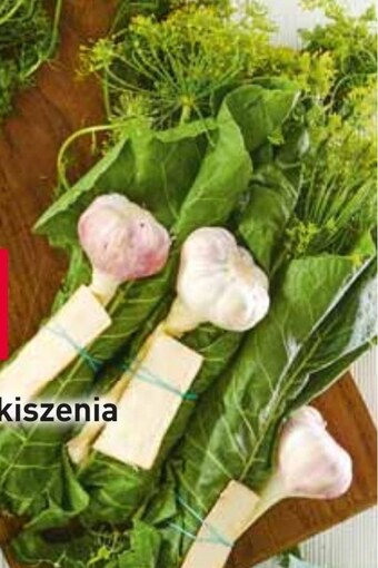 Stokrotka Zestaw do kiszenia oferta