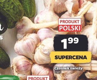 Netto Czosnek oferta