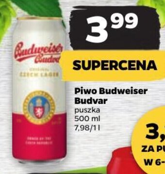 Netto Piwo Budweiser Budvar puszka 500 ml oferta
