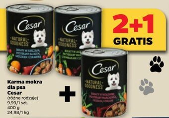 Netto Karma mokra dla psa Cesar oferta