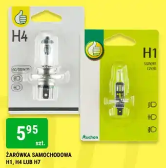 bi1 ŻARÓWKA SAMOCHODOWA H1, H4 LUB H7 oferta