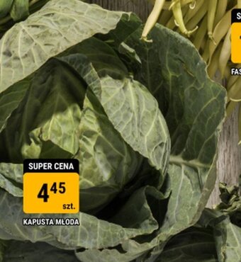 bi1 KAPUSTA MŁODA oferta