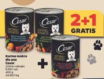 Netto Karma dla psa z jagnięciną cesar (karma) oferta