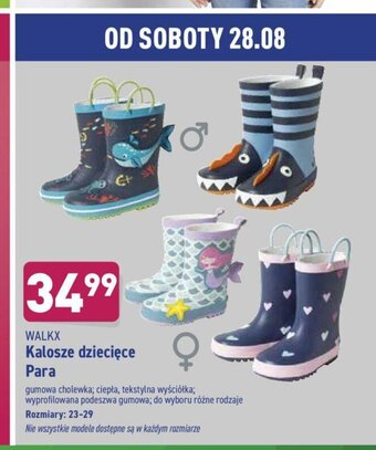 ALDI Kalosze dziecięce oferta