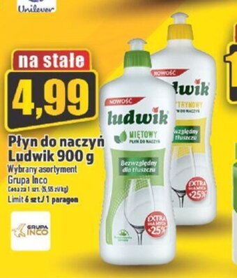 Topaz Płyn do naczyń Ludwik 900 g oferta