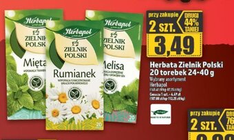 Topaz Herbata Zielnik Polski 20 torebek 24-40 g oferta