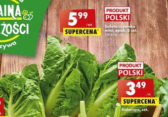 Biedronka Sałata rzymska mini, opak. 2 szt. oferta