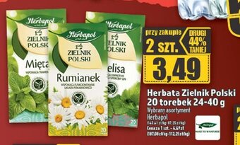 Topaz Herbata Zielnik Polski 20 torebek 24-40 g oferta