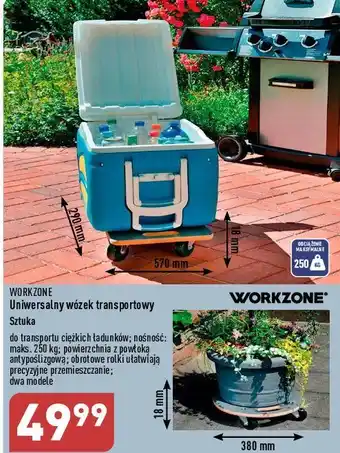 ALDI Wózek transportowy workzone oferta