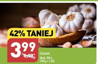 ALDI Czosnek oferta