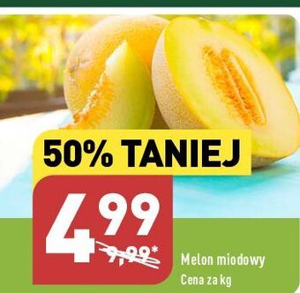 ALDI Melon miodowy oferta