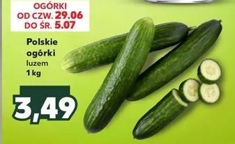 Kaufland Ogórki zielone oferta