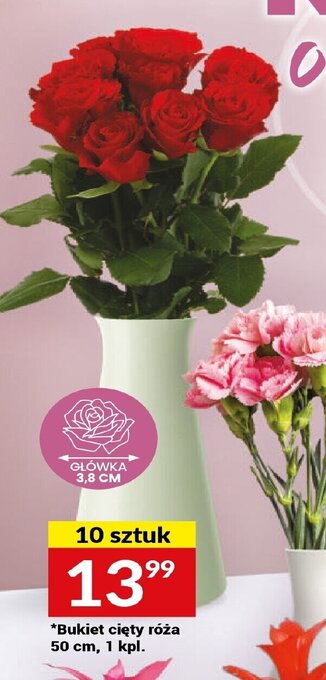 Twój Market Bukiet cięty róża 50 cm, 1 kpl. oferta
