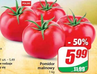 Dino Pomidory oferta