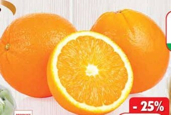 Dino Pomarańcza oferta