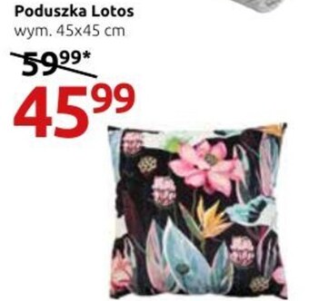 Black Red White Poduszka oferta