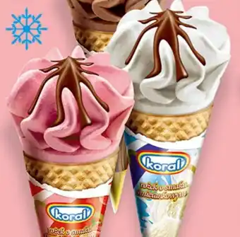 Prim Market Lody koral oferta