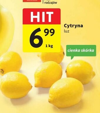Intermarche Cytryny oferta
