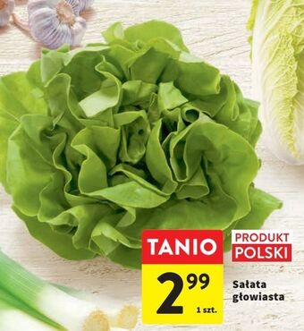 Intermarche Sałata głowiasta oferta