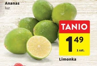 Intermarche Limonka oferta