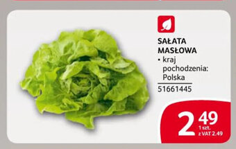 Selgros SAŁATA MASŁOWA 1 szt. oferta