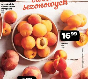 Netto Morela oferta