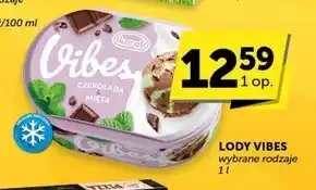 Groszek Lody vibes oferta