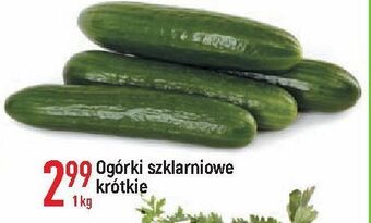 E.Leclerc Ogórek szklarniowy krótki oferta