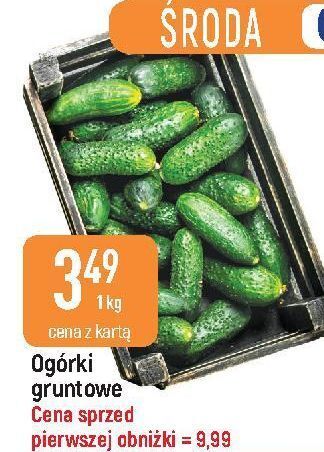 E.Leclerc Ogórki gruntowe oferta