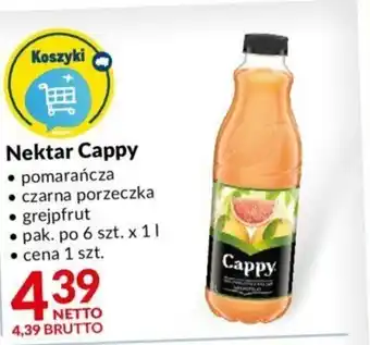 Makro Nektar Cappy 1l oferta