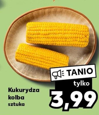 Kaufland Kukurydza kolba sztuka oferta