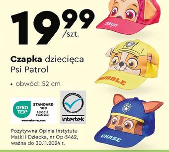 Biedronka Czapka dziecięca psi patrol oferta