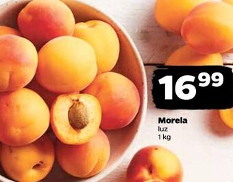 Netto Morele oferta