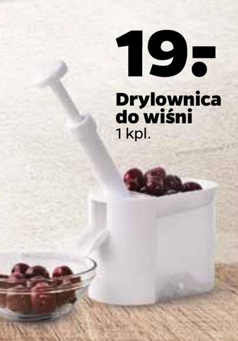 Netto Drylownica oferta