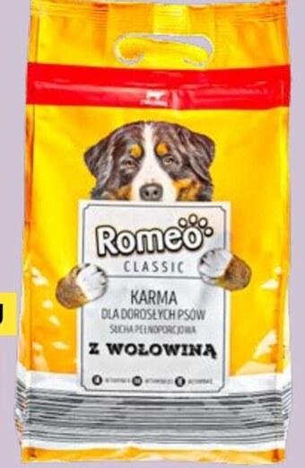 ALDI Karma dla psa romeo oferta