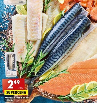 Biedronka Makrela tusza Sona 100g oferta