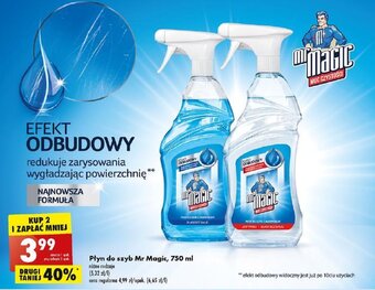 Biedronka Płyn do szyb Mr Magic, 750 ml oferta